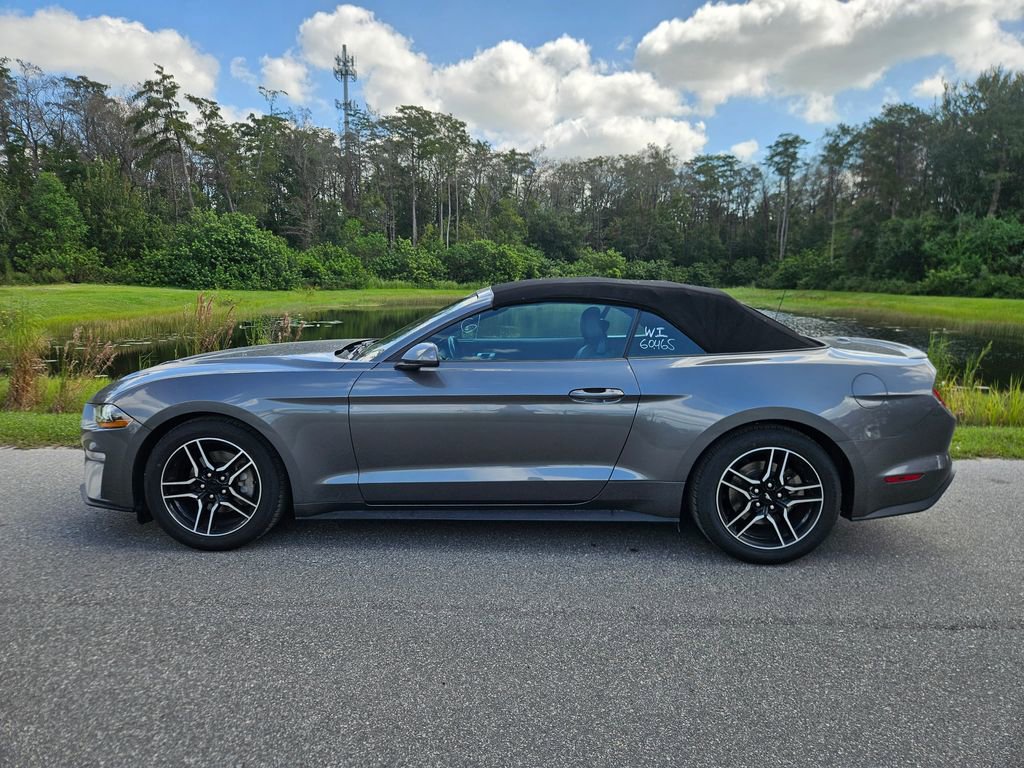 2023 Ford Mustang EcoBoost Premium Convertible photo 2