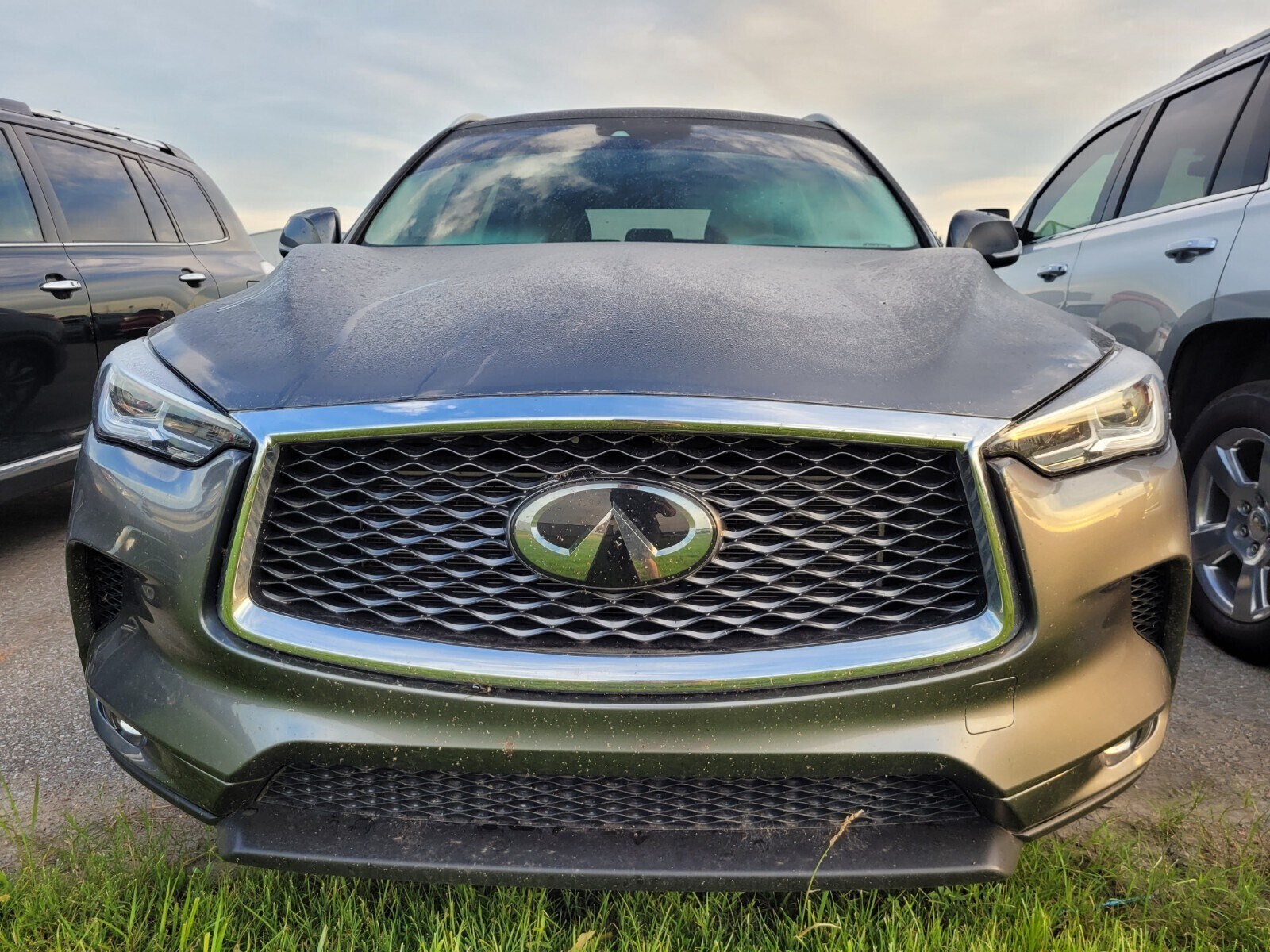 2022 Infiniti QX50 Luxe photo 2