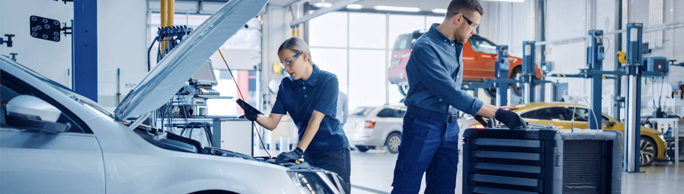 Volkswagen Mechanics working on cars