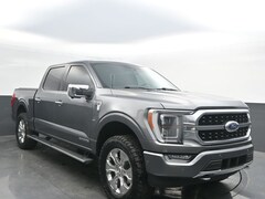 2022 Ford F-150 Platinum Truck