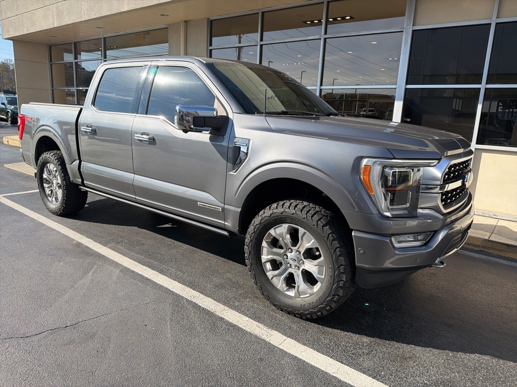 2022 Ford F-150 Platinum's photo