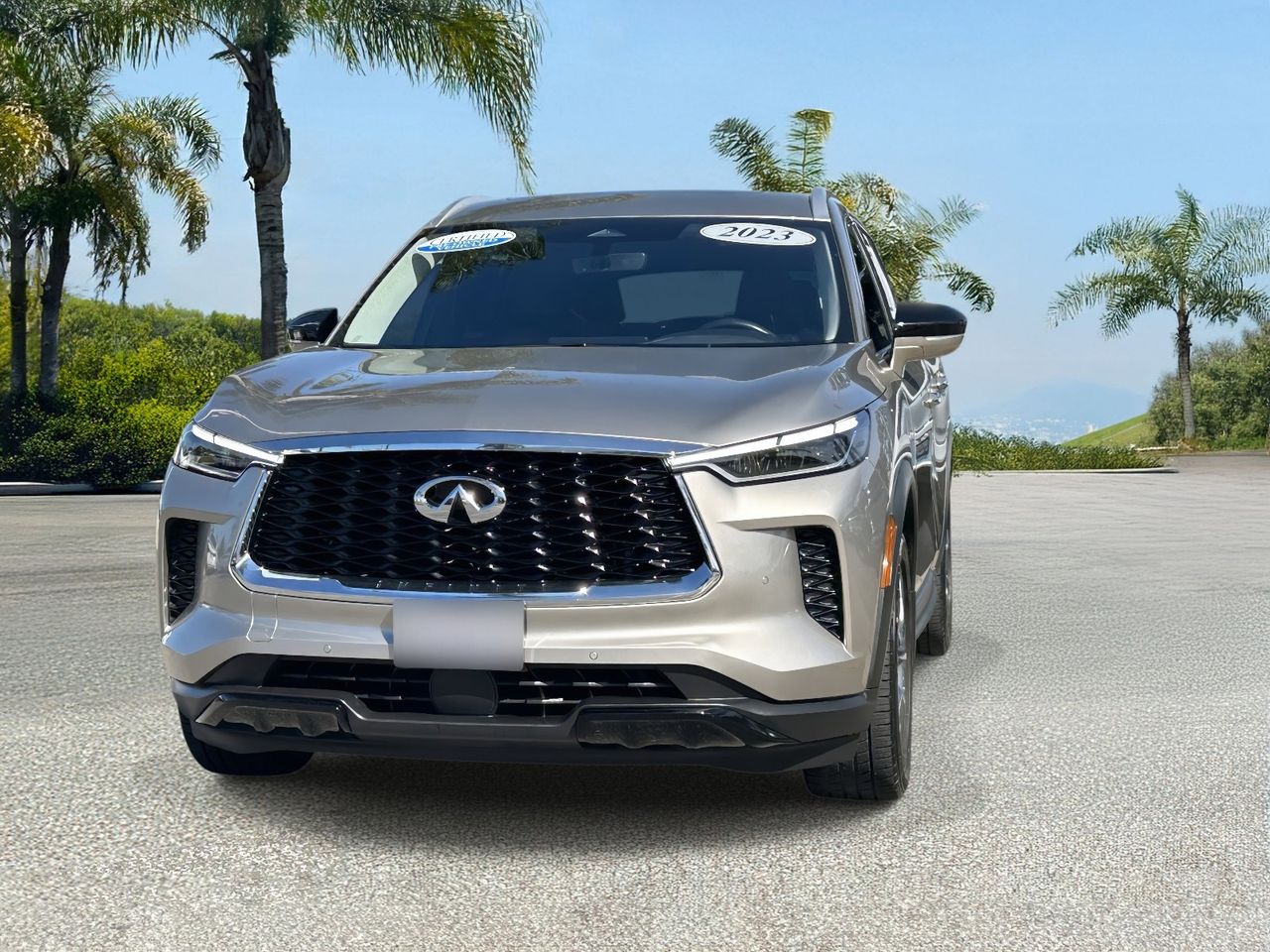 2023 INFINITI QX60 Luxe photo 5