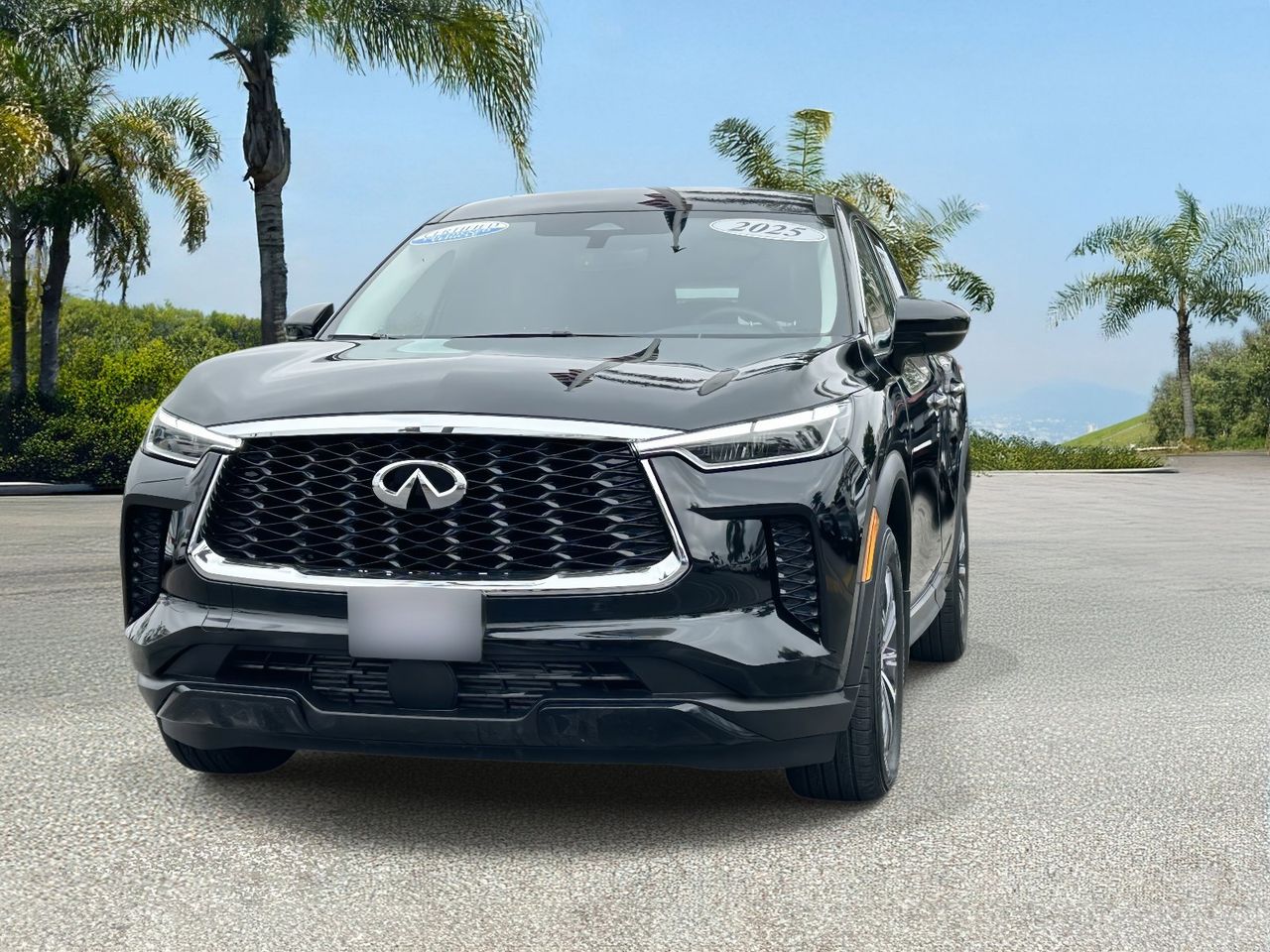 2025 INFINITI QX60 Pure photo 5