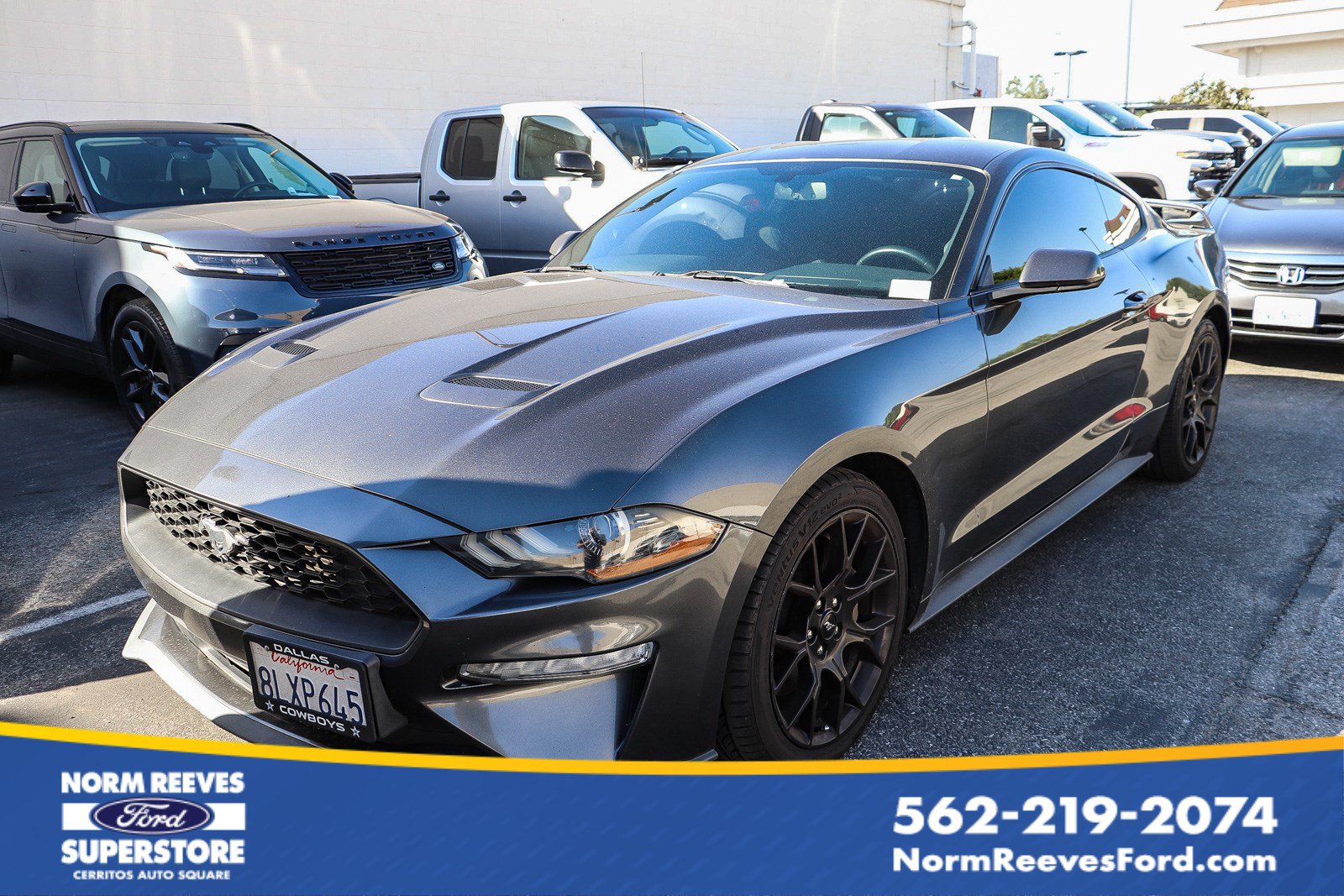 Used 2019 Ford Mustang EcoBoost EcoBoost Fastback