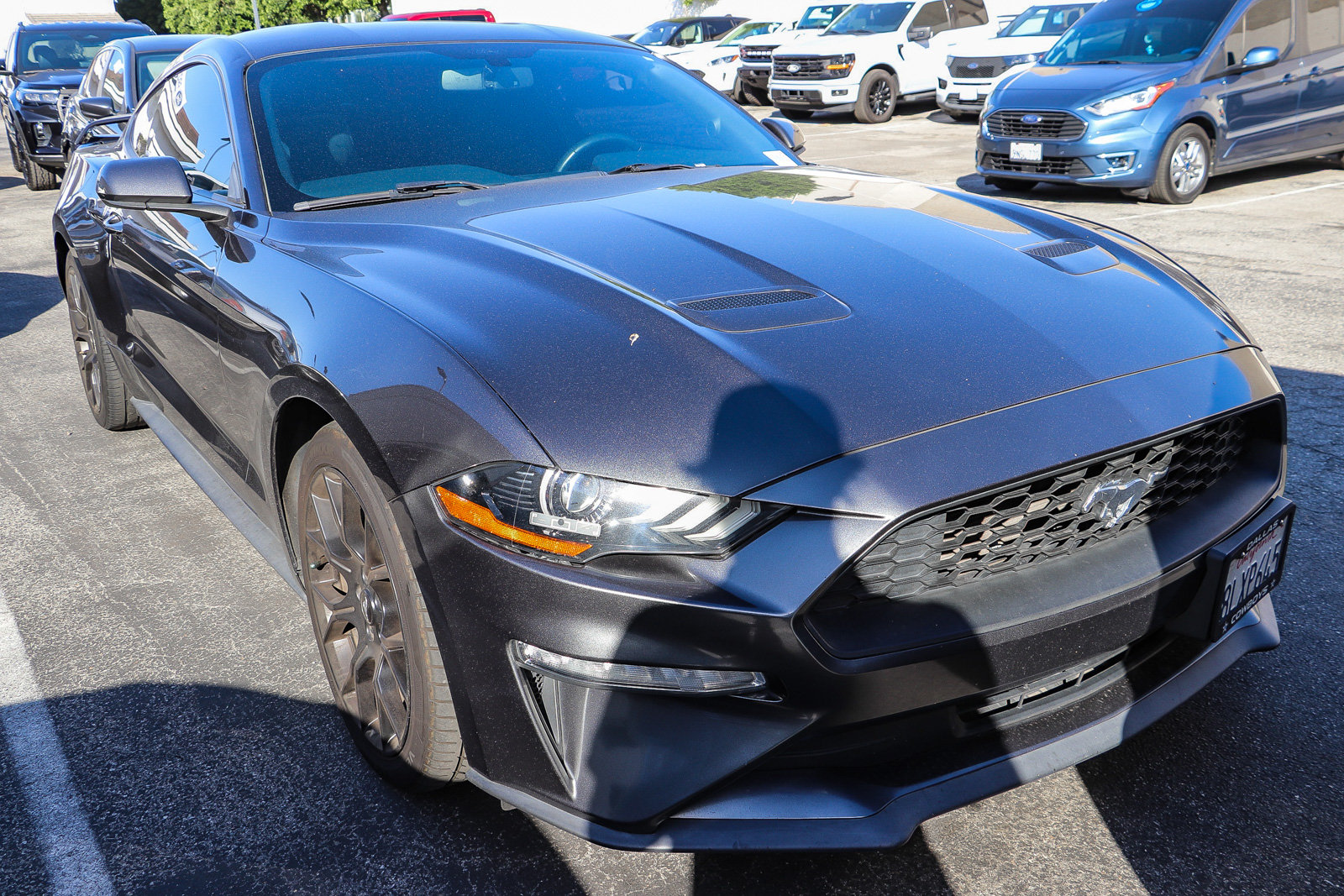 Used 2019 Ford Mustang EcoBoost EcoBoost Fastback