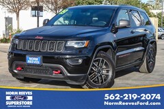 2019 Jeep Grand Cherokee Trailhawk Trailhawk 4x4