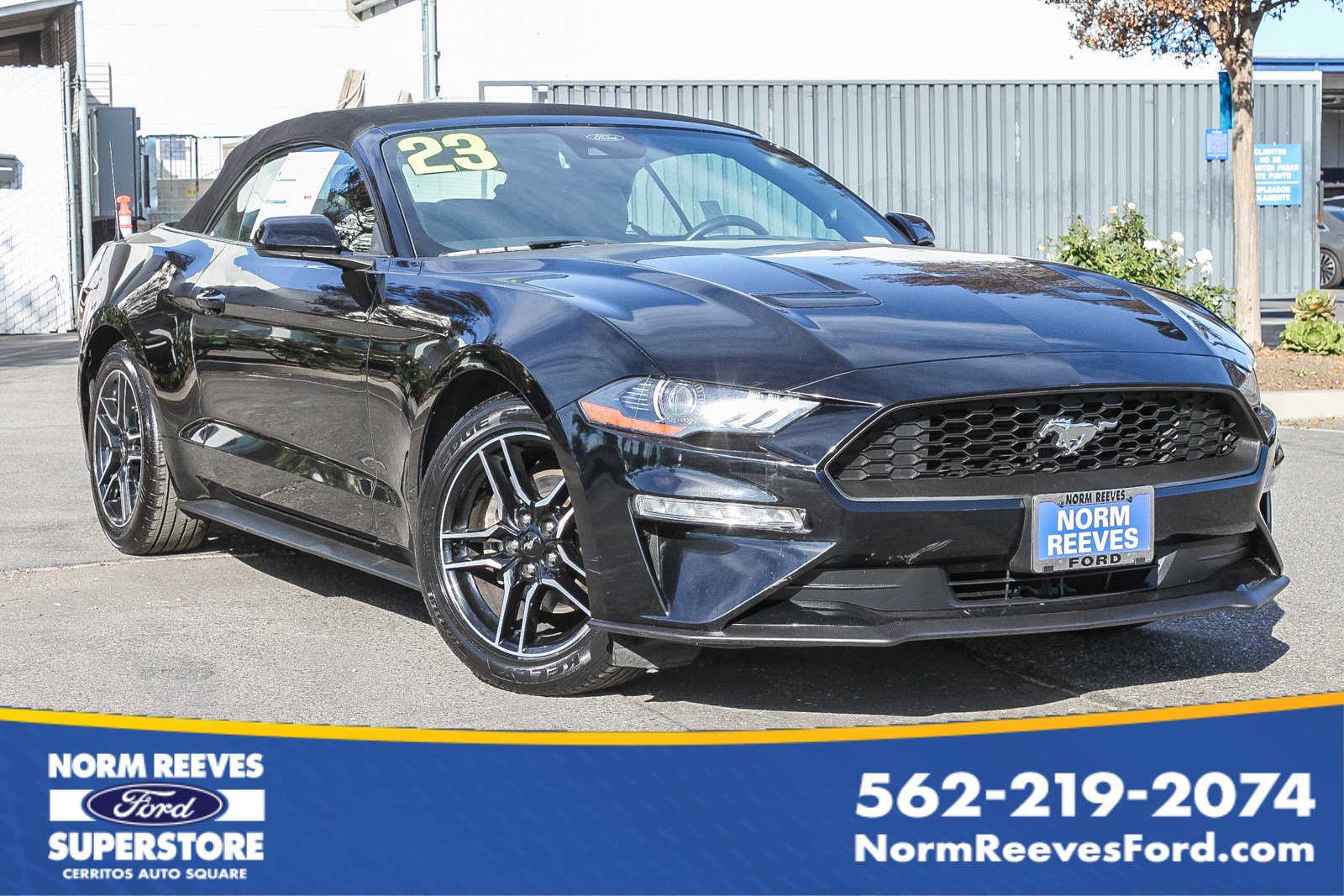 2023 Ford Mustang EcoBoost Premium