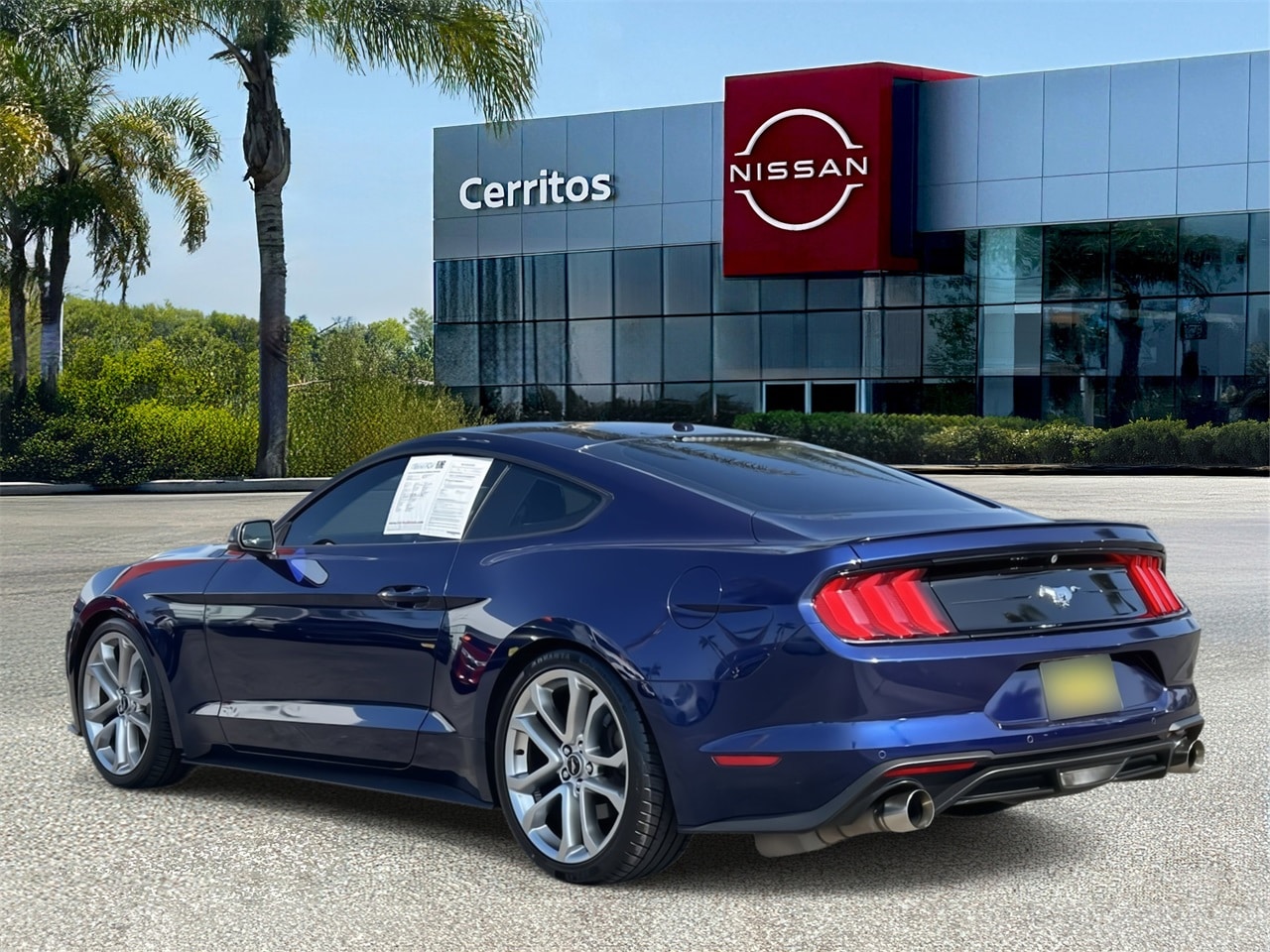 Used 2019 Ford Mustang EcoBoost Premium with VIN 1FA6P8TH9K5192505 for sale in Cerritos, CA