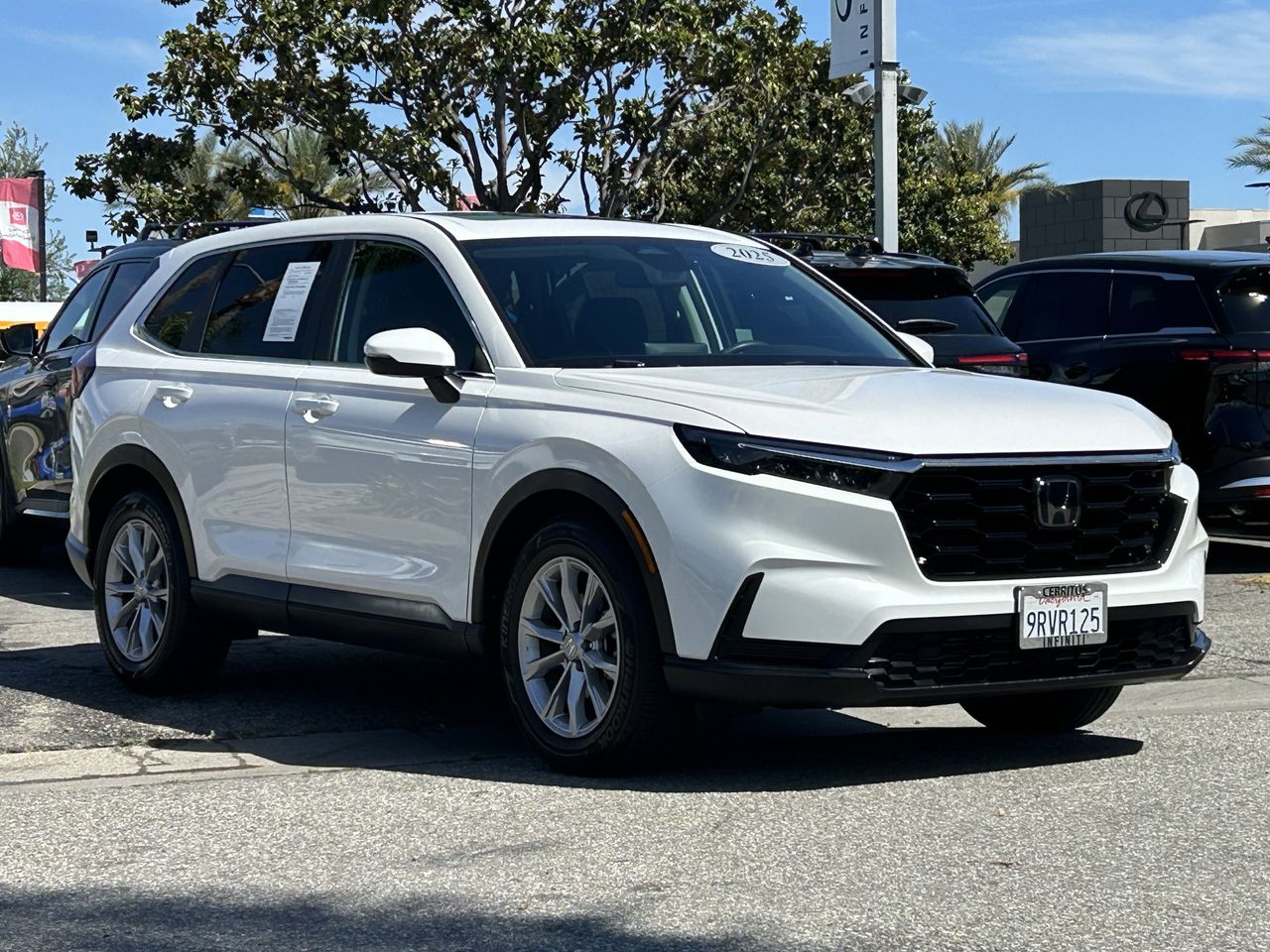 2025 Honda CR-V EX photo 5