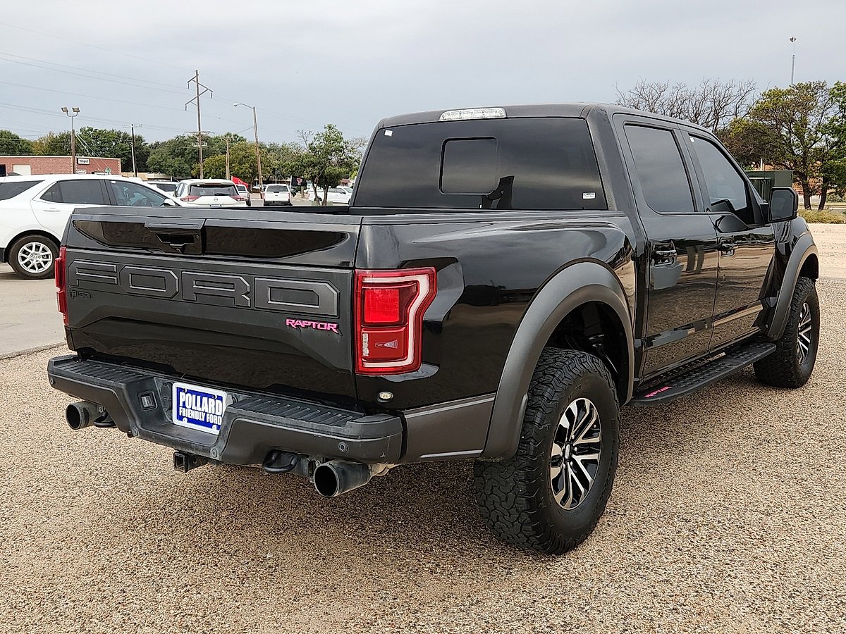 2020 Ford F-150 Raptor photo 2