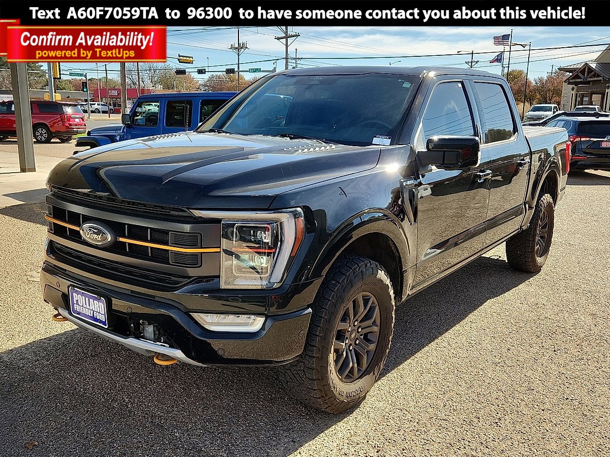 2022 Ford F-150 Tremor's photo