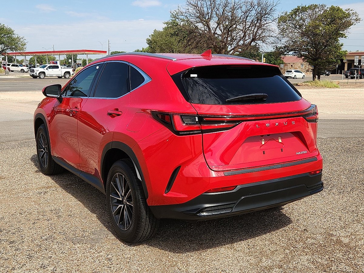 2024 Lexus NX 250 photo 2