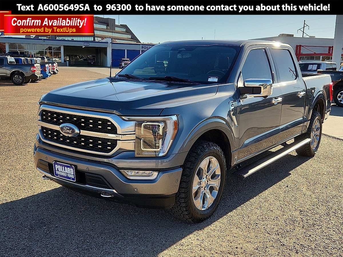 2023 Ford F-150 Platinum's photo