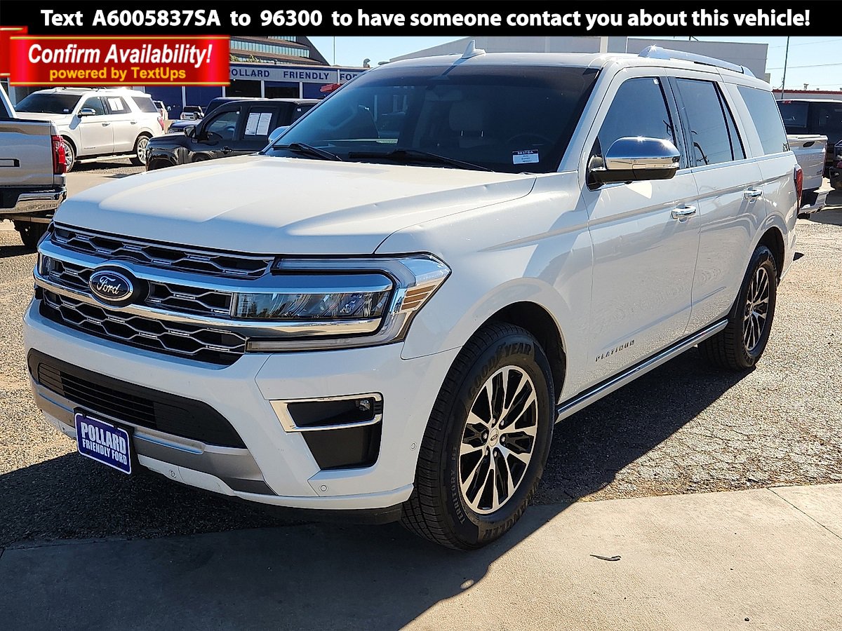 2022 Ford Expedition Platinum's photo