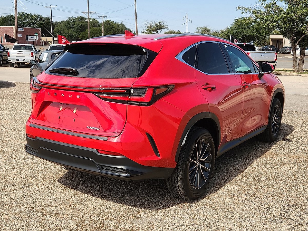 2024 Lexus NX 250 photo 3