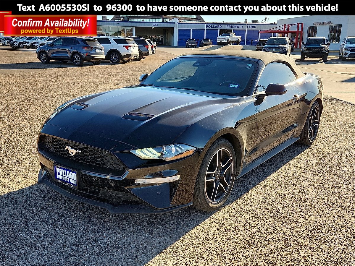 2022 Ford Mustang EcoBoost's photo