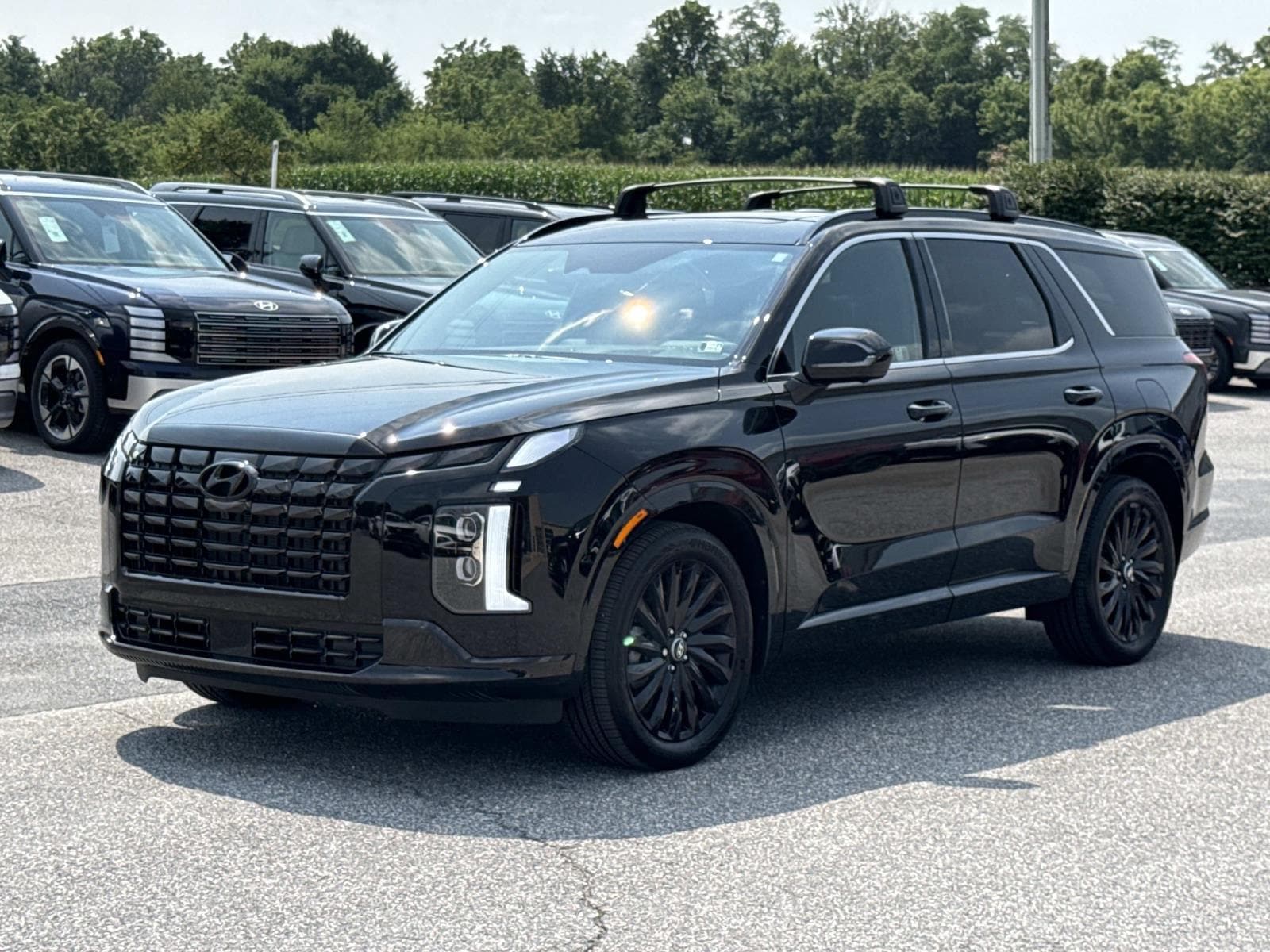 2025 Hyundai Palisade Calligraphy Night Edition - Photo 28