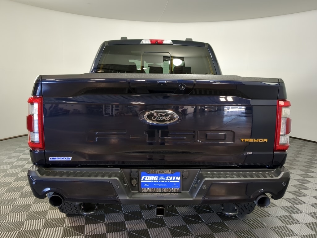 2021 Ford F-150 Tremor - Photo 7