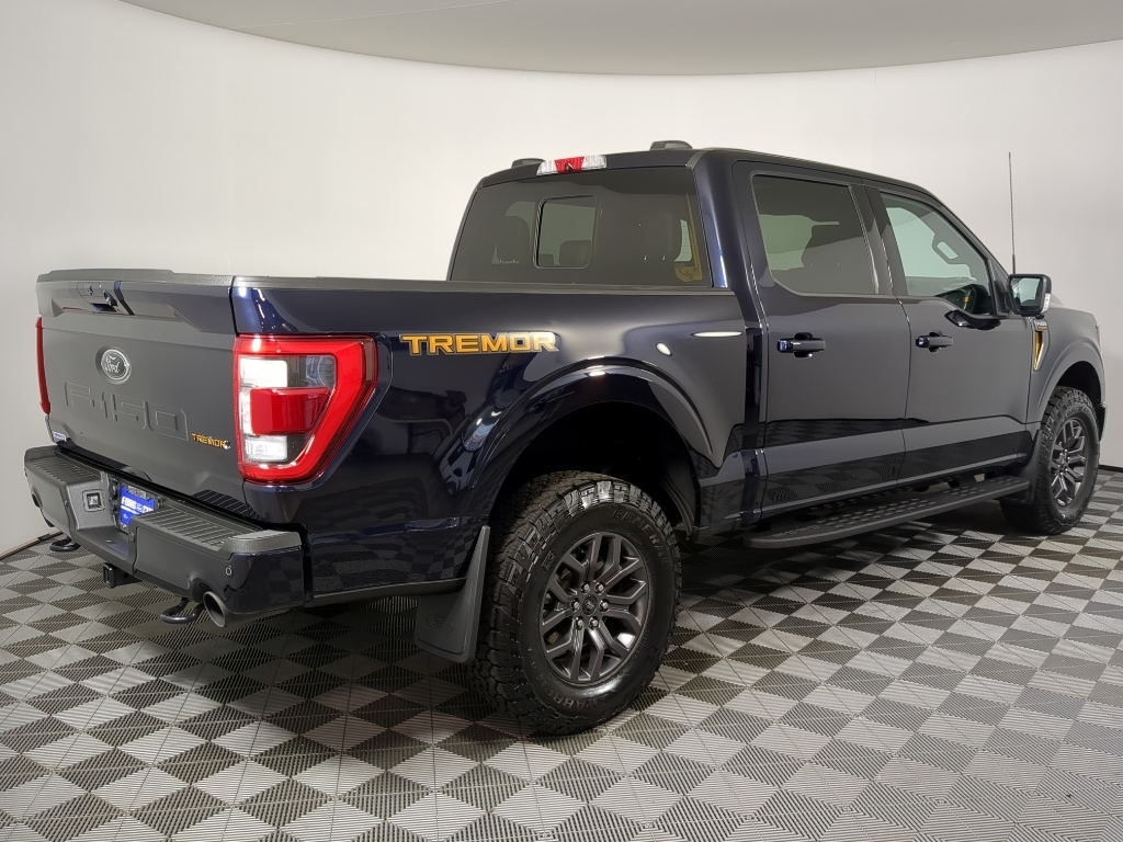 2021 Ford F-150 Tremor - Photo 9