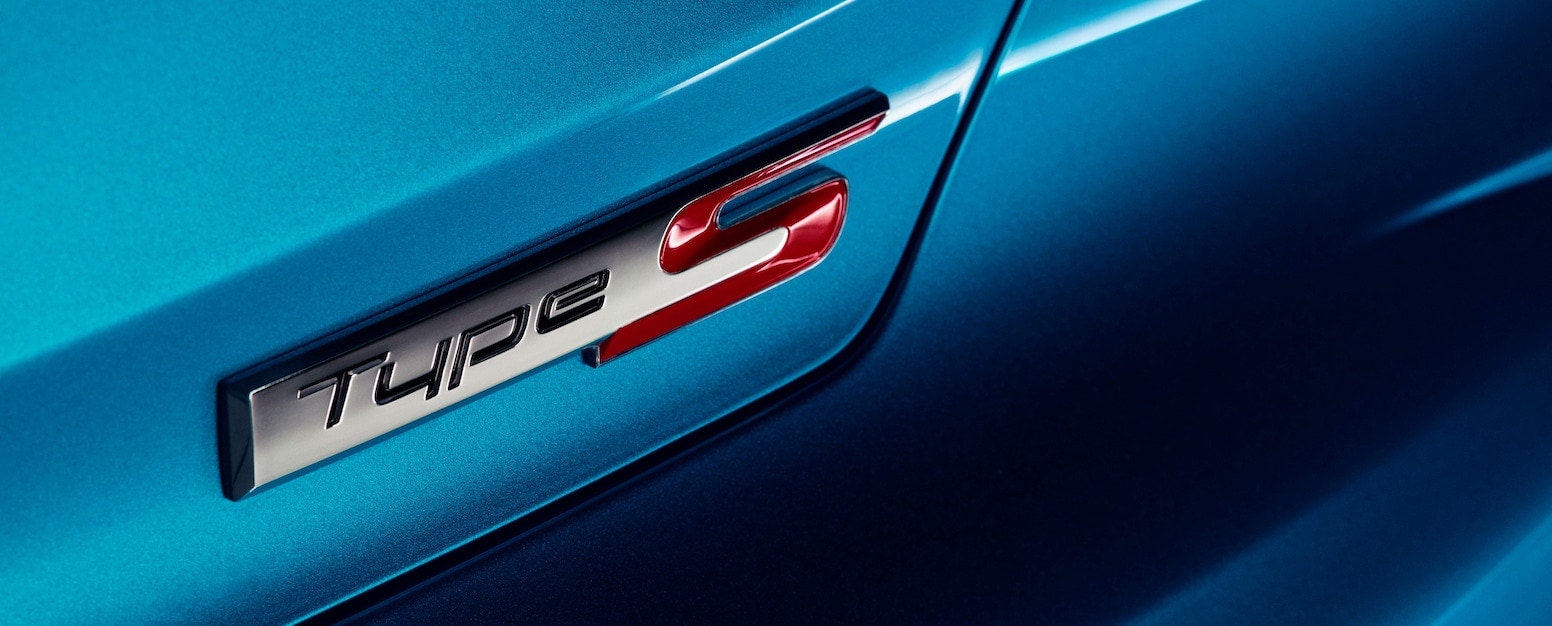Type S Badge
