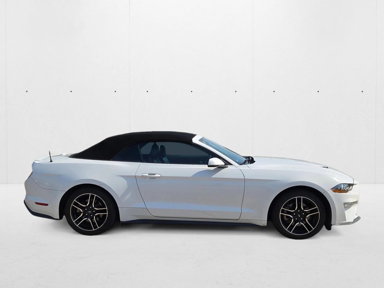 2019 Ford Mustang EcoBoost Premium Convertible photo 4