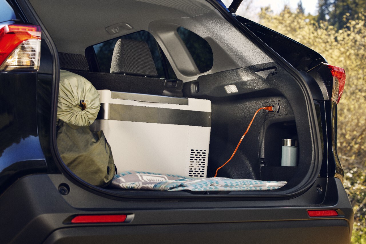 2023-Toyota-RAV4-Hybrid-Woodland-Edition.jpg