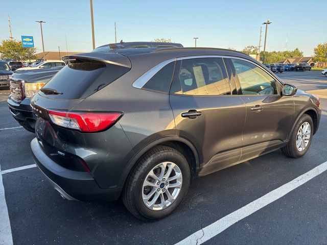 2020 Ford Escape SE photo 3