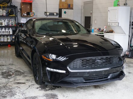 2019 Ford Mustang Ecoboost Coupe