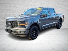 2025 Ford F-150 STX Truck