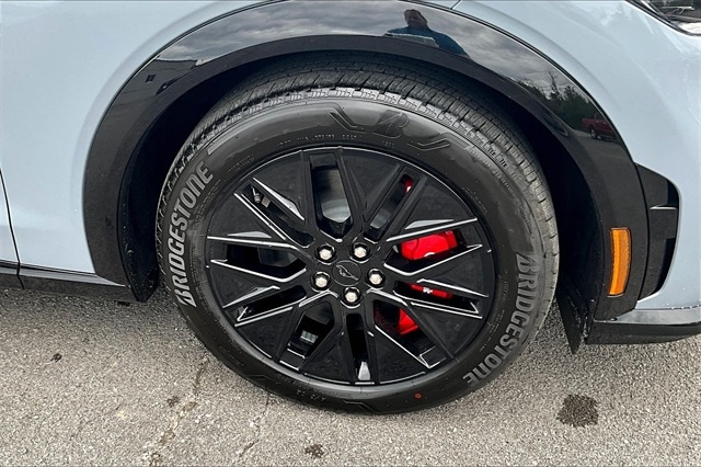 2025 Ford Mustang Mach-E Premium - Photo 12
