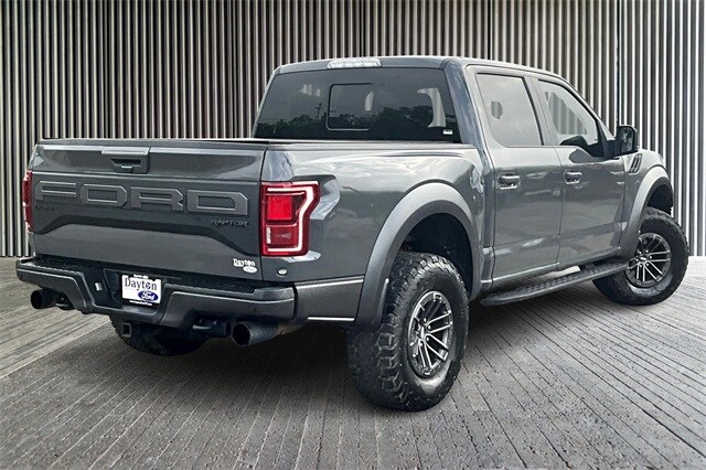 2020 Ford F-150 Raptor photo 2