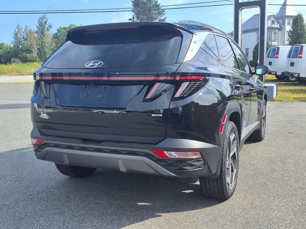 2024 Hyundai Tucson Limited photo 3