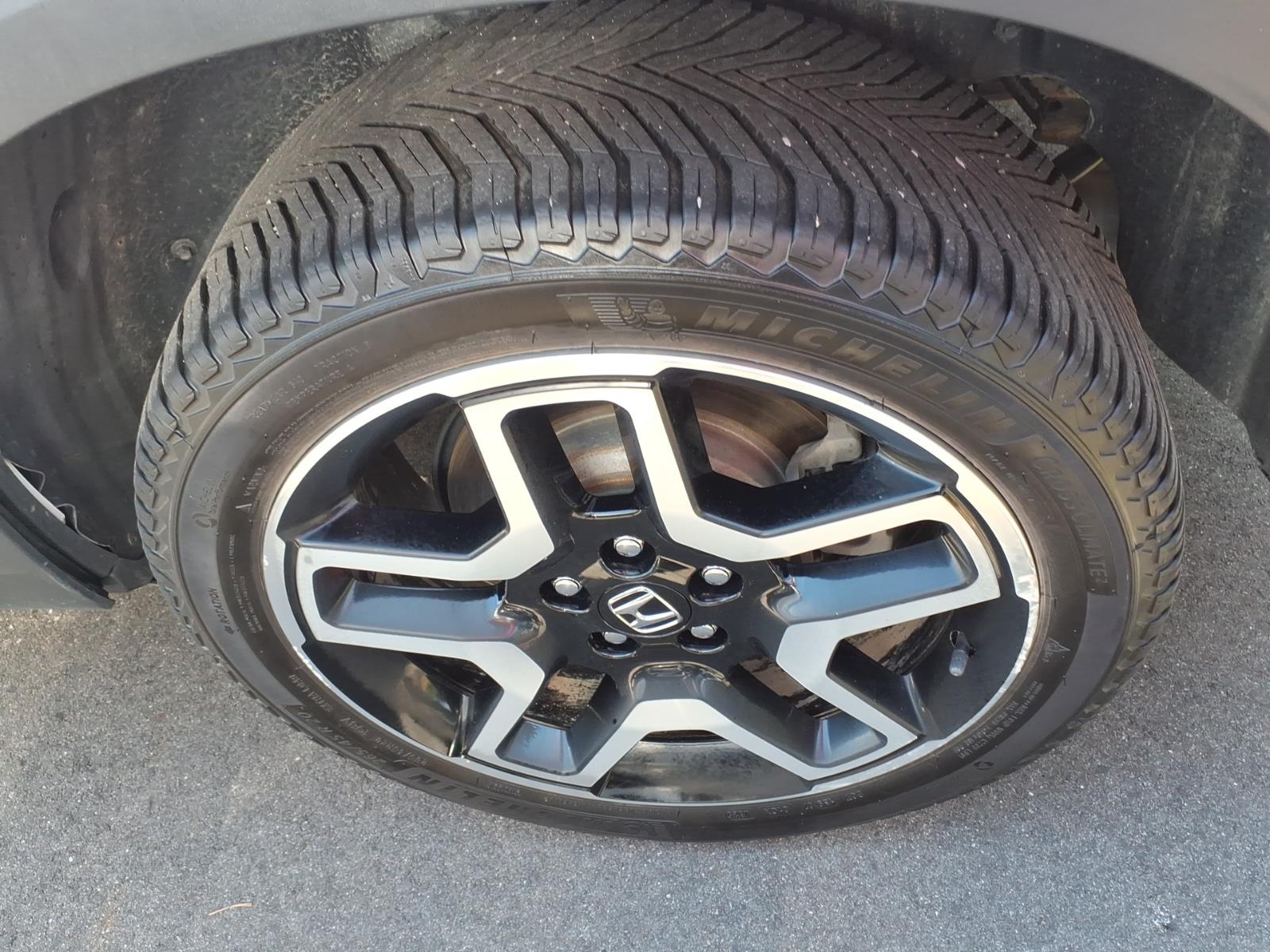 2023 Honda Passport Elite - Photo 6