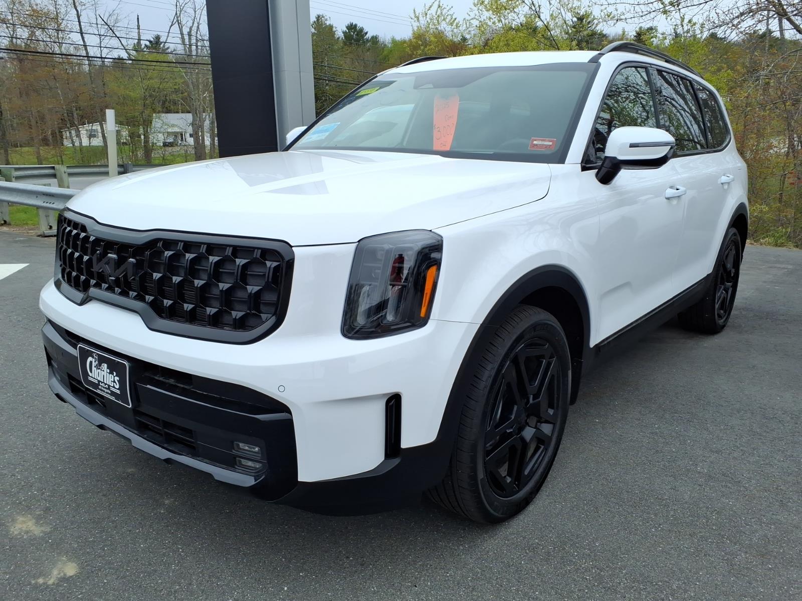 2025 Kia Telluride SX Prestige X-Line AWD's photo