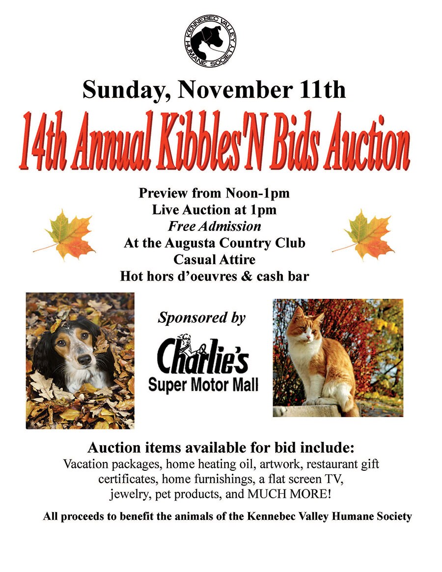  2012 kibblesNBidsPoster.jpg
