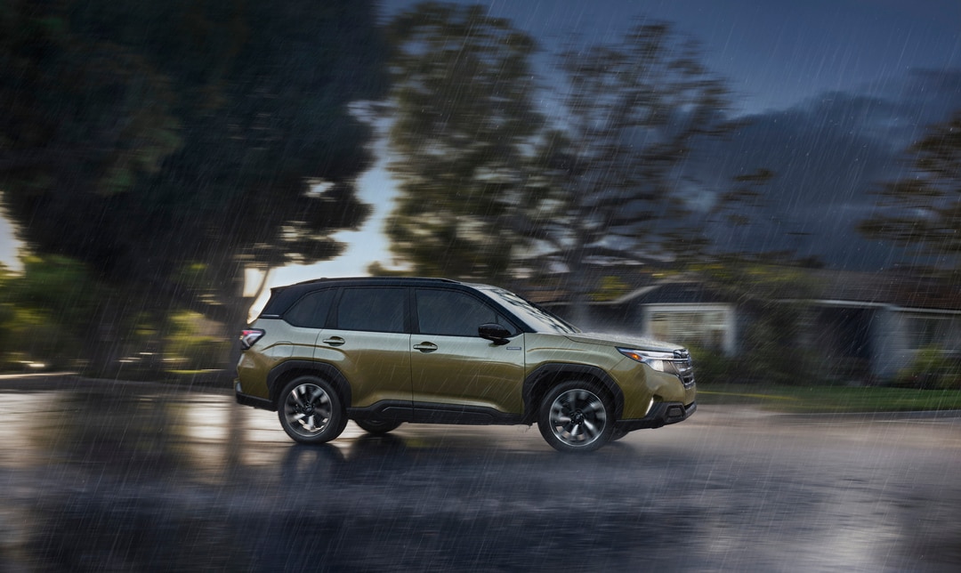 Forester Hybrid