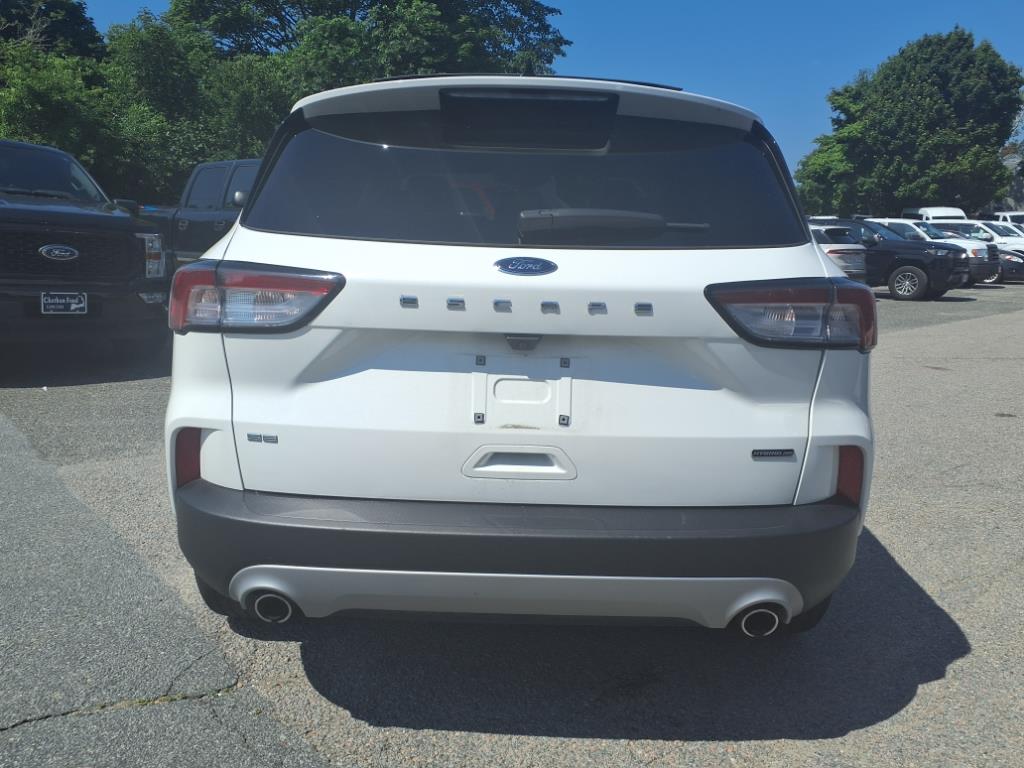 2020 Ford Escape SE Sport Hybrid photo 4