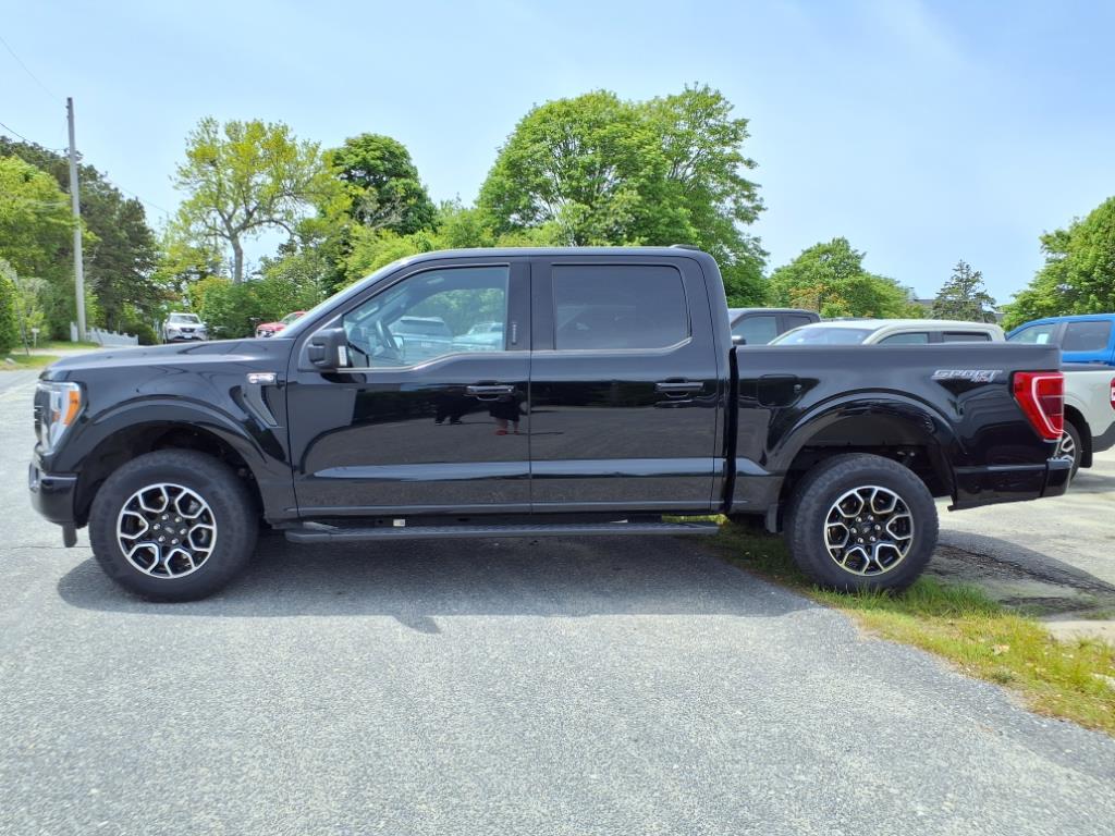 Used 2023 Ford F-150 XLT with VIN 1FTEW1EP1PFA81839 for sale in Chatham, MA