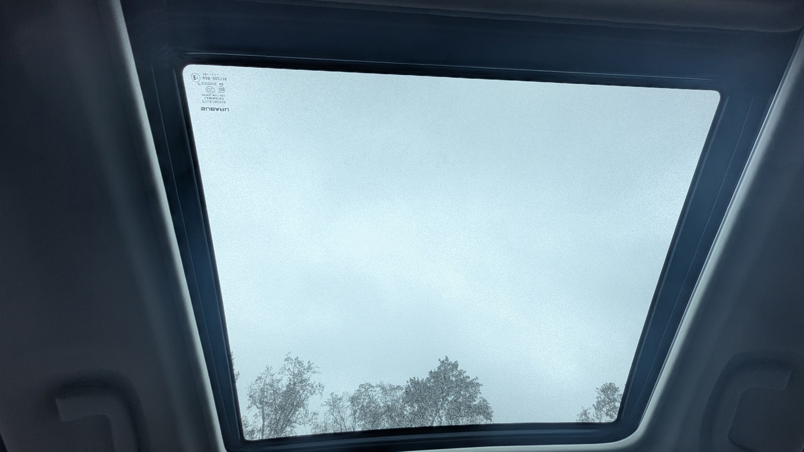 View 40