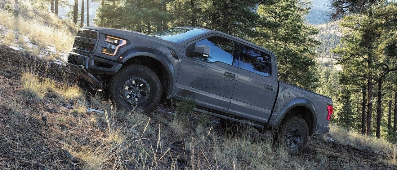 F150 on the Trail.jpg