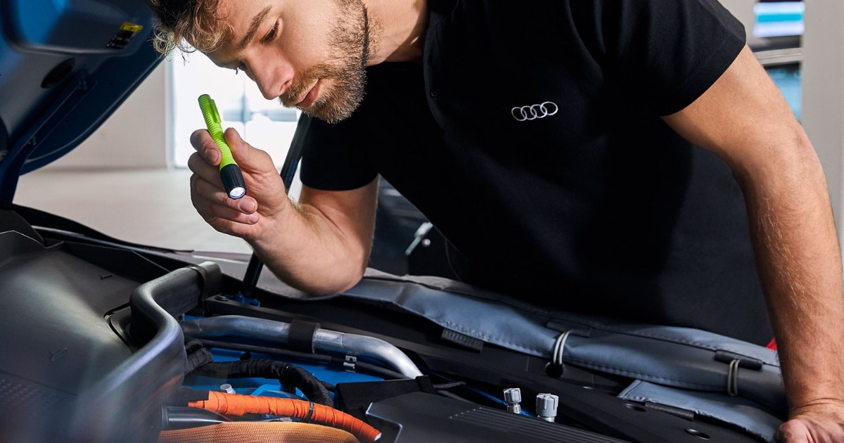 Audi%20Cherry%20Hill%20-%20Spring%20Cleaning.png