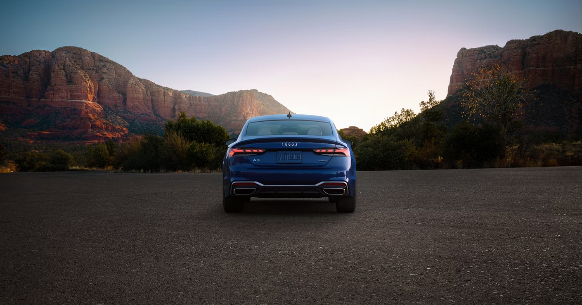Audi%20Cherry%20Hill%20-%20Spring%20and%20Summer%20Adventures.png