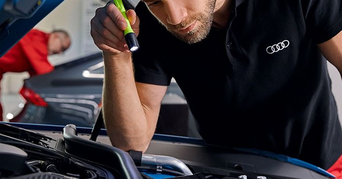 CHI%20AUDI%20SERVICE%20WINTER.jpg