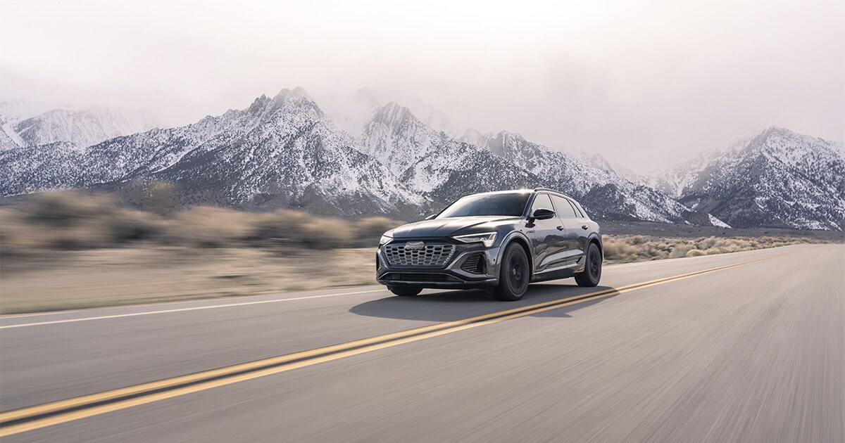 AUDI 24 Q8 SERVICE.jpg