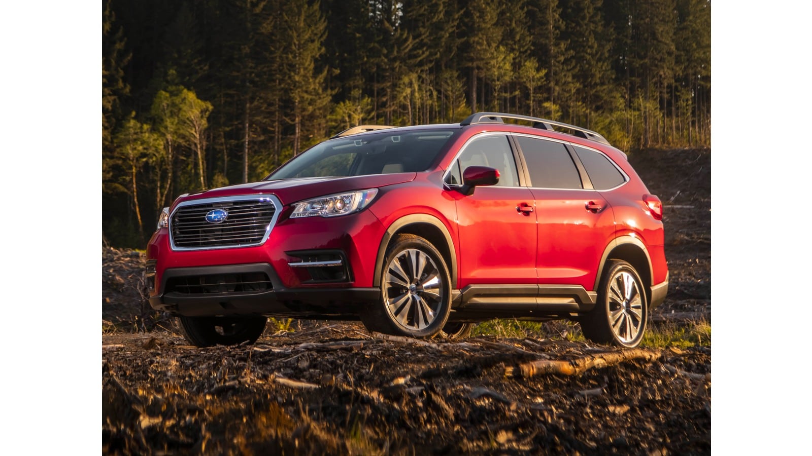 2020 Subaru Ascent Touring's photo