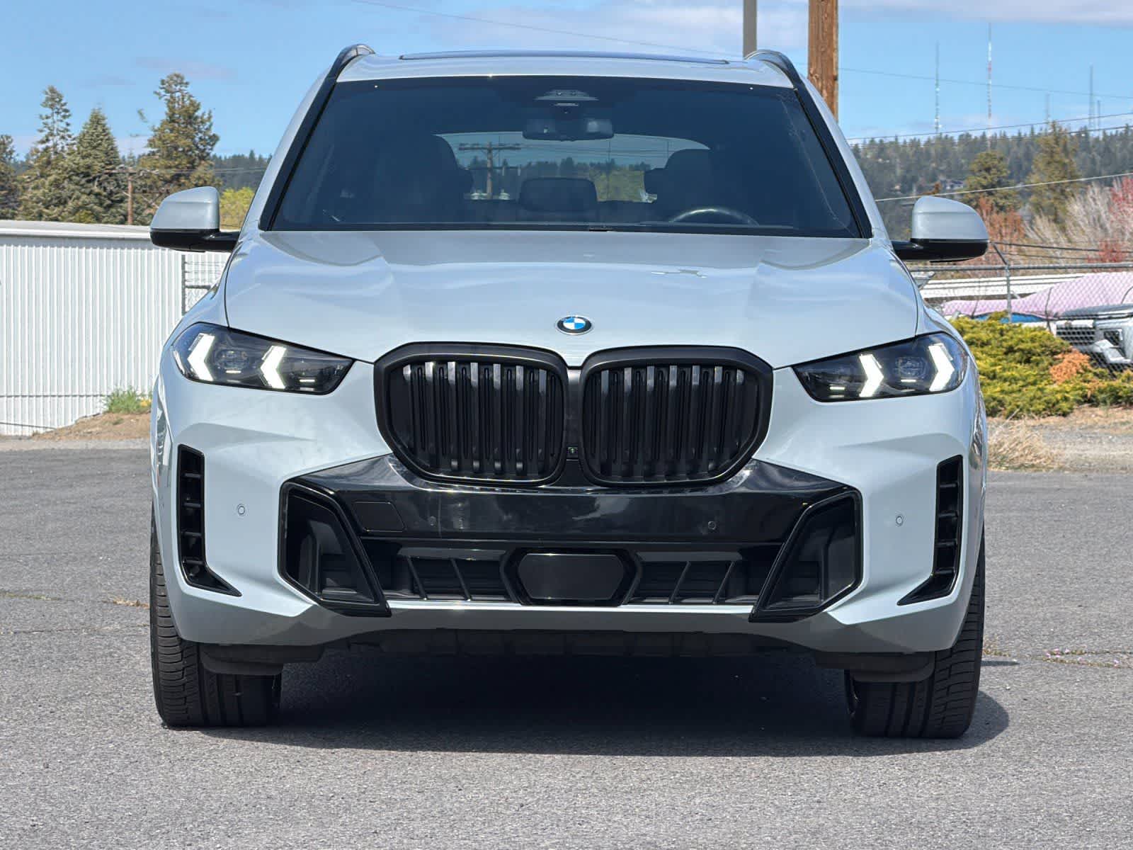 Thumbnail: 2024 BMW X5 - 10