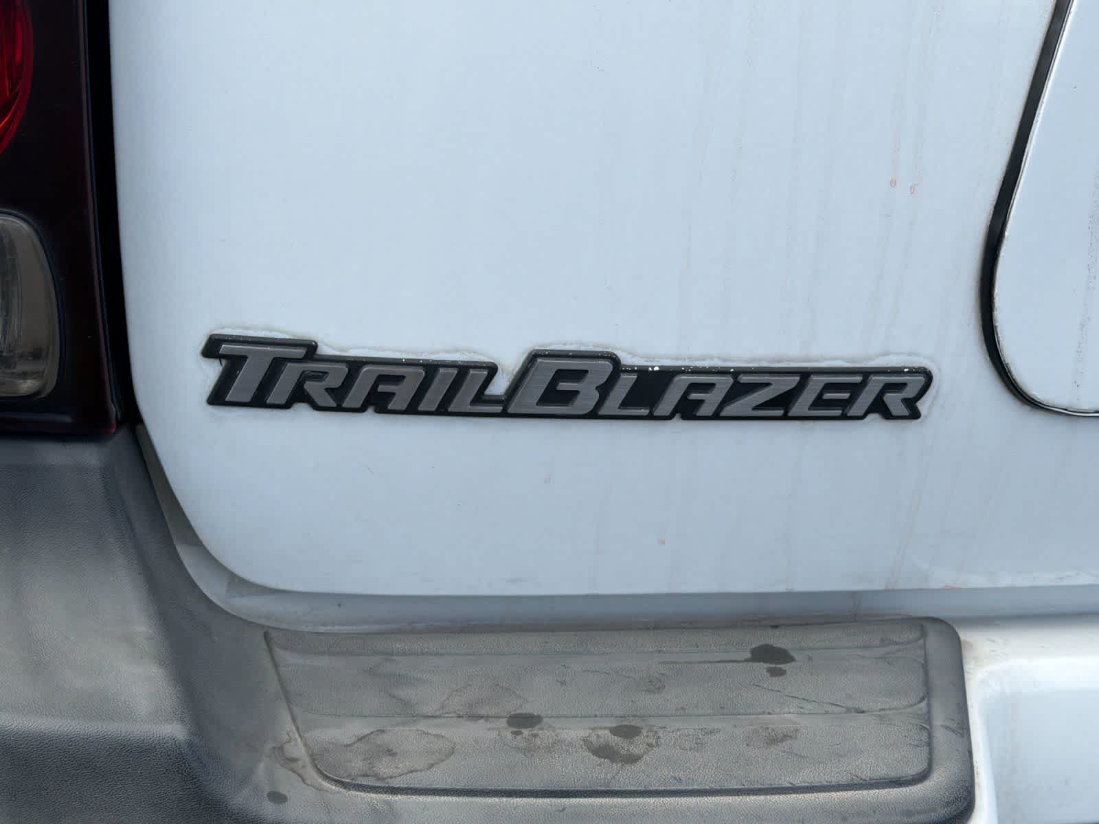 Thumbnail: 2003 Chevrolet TrailBlazer - 10