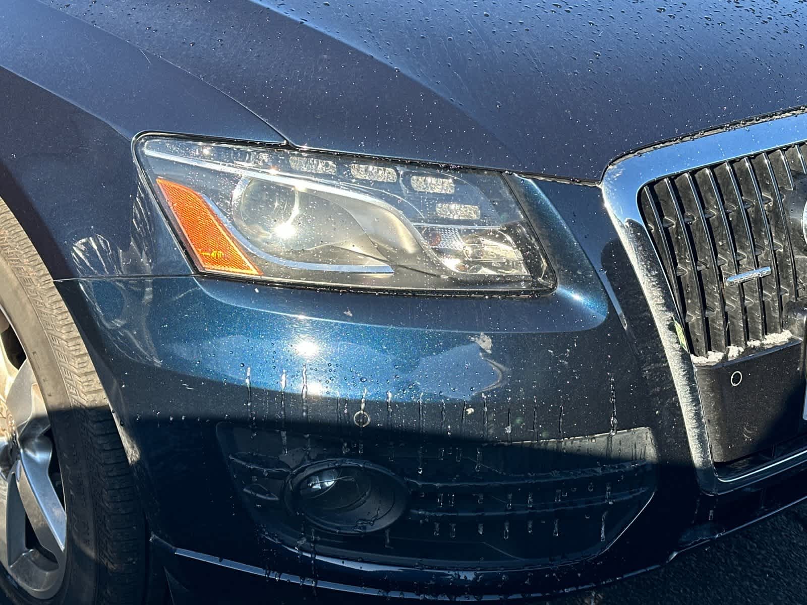 Thumbnail: 2010 Audi Q5 - 11