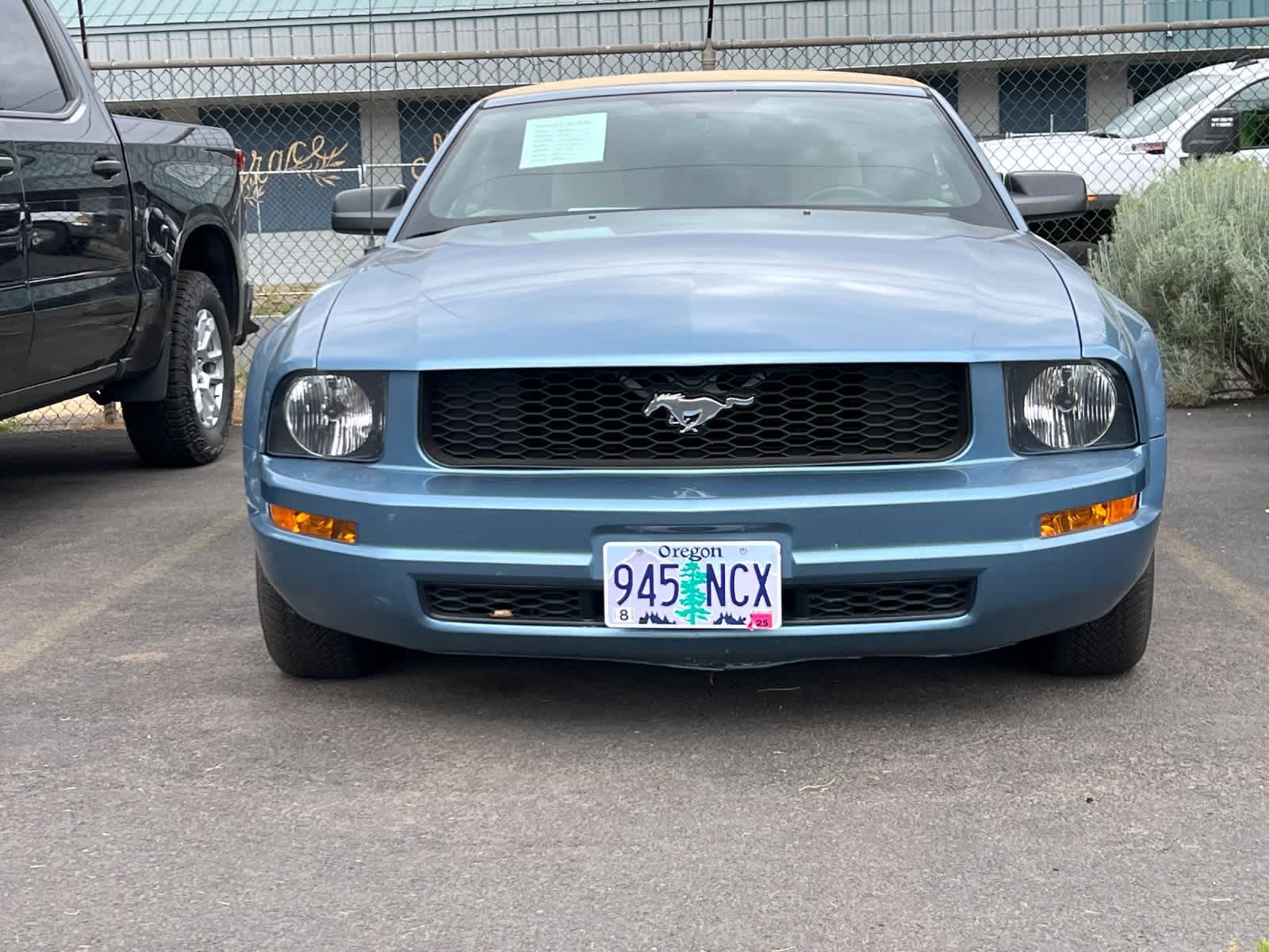 Thumbnail: 2006 Ford Mustang - 6