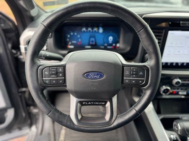 2025 Ford F-150 Platinum - Photo 17
